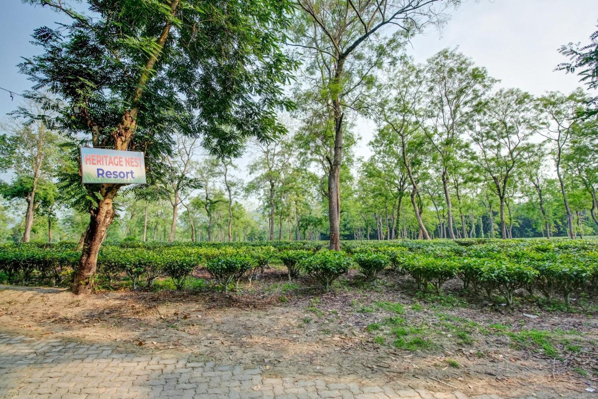 Hotel O Heritage Nest Resort Kazirnga Kāziranga Exterior foto